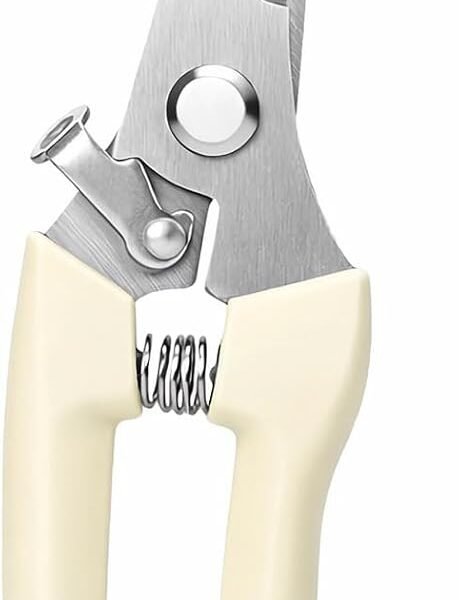 Pruning Shears, Gardening Scissors Garden Shears, Stainless Steel Garden Scissors with Comfortable Grip for Flowers, Herbs & Light Trimming, 1 Pack