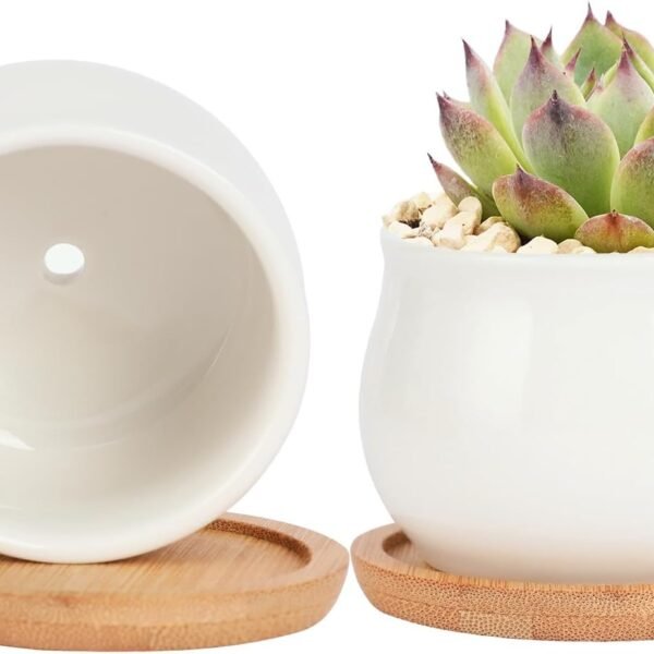 2 Pack Succulent Pots, 2 5 Inch Mini Ceramic Pots for Flower or Cactus Plants with Drainage Hole,Plants Not Included (White)
