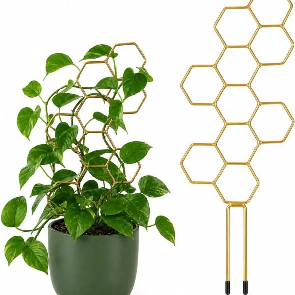 Metal Small Plant Trellis for Pots, Indoor Climbing Plant Support (Gold)
