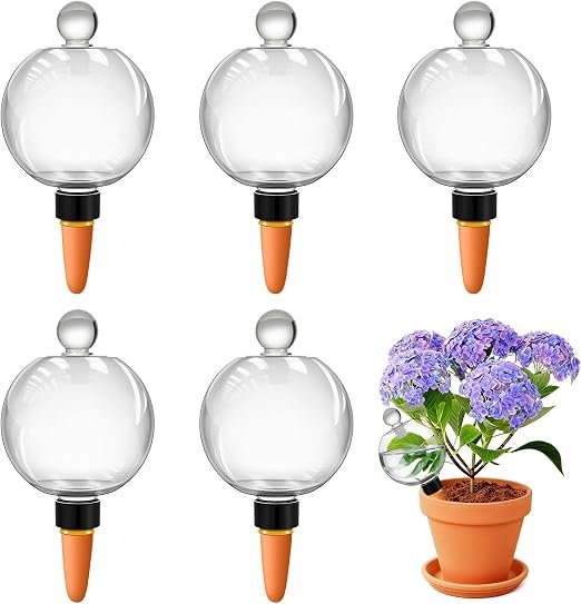 6 Pack Clear Glass Self Watering Globes