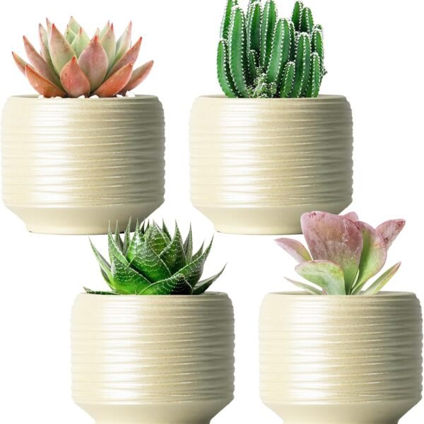 Mini Succulent Planter Set – 3 7 Inch Ceramic Pots with Drainage for Indoor Plants, Small Decorative Flower Pots for Cactus and House Plants, Set of 4