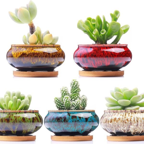 Cute Ceramic Succulent Garden Pots, Planter with Drainage and Attached Saucer, Set of 5  Plants Not Included (Burner)