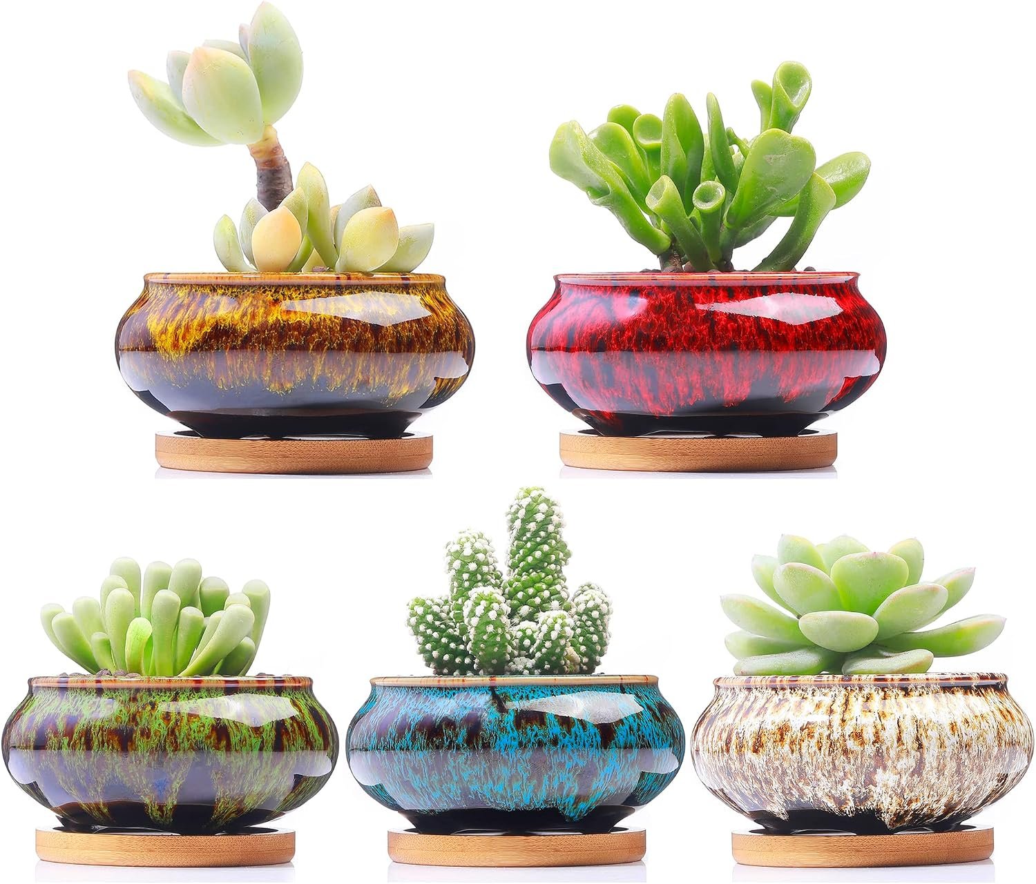 Cute Ceramic Succulent Garden Pots, Planter with Drainage and Attached Saucer, Set of 5 Plants Not Included (Burner)